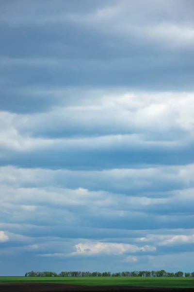 Blauw Grijze Bewolkte Lucht Befor Regen Achtergrond Met Groene Strook — Stockfoto