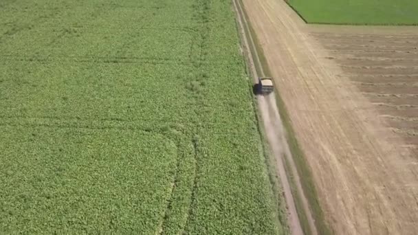 Panoramic View Plowing Ground Harvesting Field Summer Time Aerial Top — Stock Video