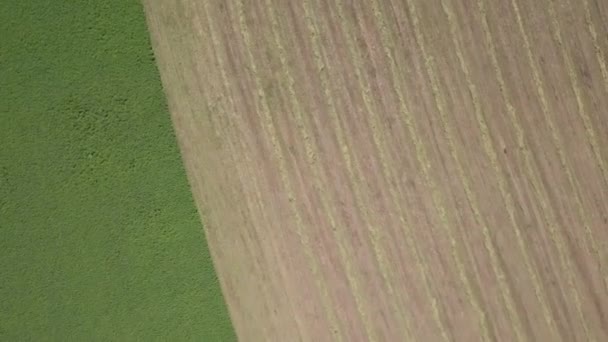 夏の時間でフィールドに収穫後 地面を耕しのパノラマ風景 収穫後フィールドのドローンから空中のトップ ビュー — ストック動画