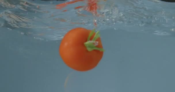 Frische Reife Tomaten Fallen Ins Wasser Auf Blauem Hintergrund — Stockvideo