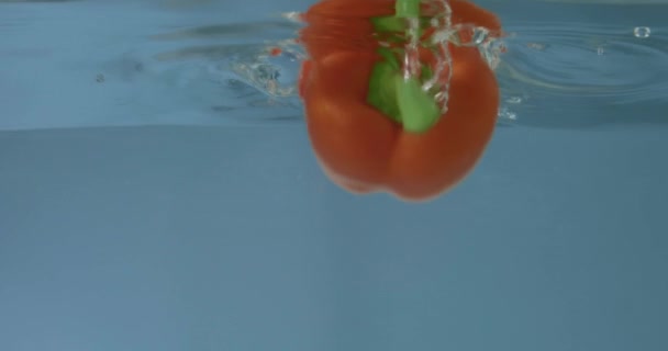 Verse Paprika Peper Vallen Water Blauwe Achtergrond — Stockvideo