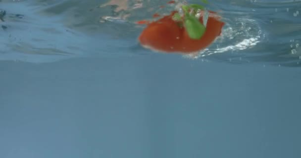 新鲜的红辣椒在蓝色背景下落水 — 图库视频影像