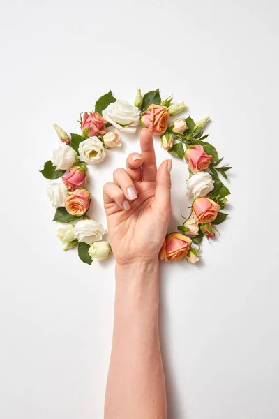 Přírodní Věnec Čerstvých Aromatických Přírodních Organických Růží Květiny Ženy Ruku — Stock fotografie