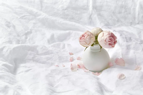 Cartão Saudação Com Folhas Brancas Amassadas Cama Pequeno Vaso Cerâmico — Fotografia de Stock