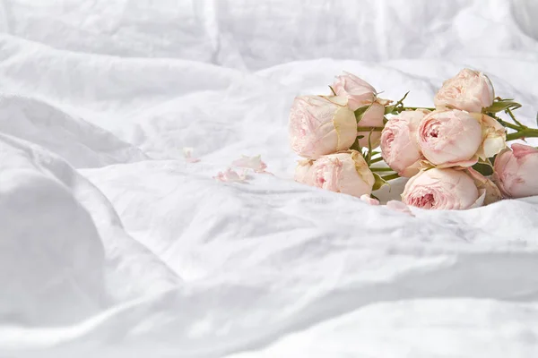 Valentýnské Přání Čerstvými Přírodními Aromatickými Růžemi Květiny Bílých Zmačkaných Prostěradlech — Stock fotografie