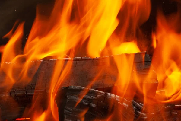 Van Dichtbij Gezien Open Vuur Brandende Bossen Achtergrond Met Kopieerruimte — Stockfoto