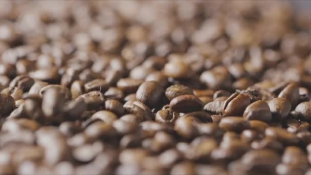 Fragrante Sfondo Chicchi Caffè — Video Stock