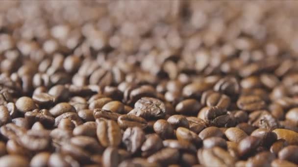 香喷喷的咖啡豆背景 — 图库视频影像