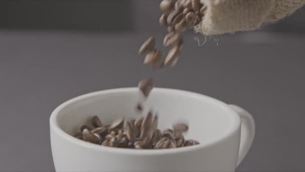 Fragrant Coffee Beans Pouring Cup — Stock Video