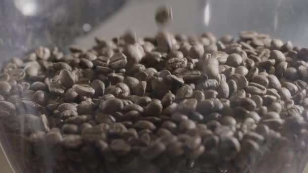 Fragranti Chicchi Caffè Ciotola Vetro Video — Video Stock