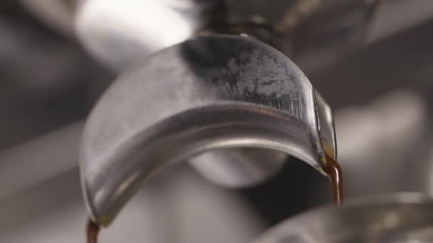 Kaffeemaschine Tropft Eine Tasse Der Prozess Der Herstellung Eines Getränks — Stockvideo