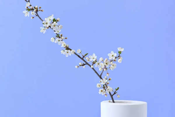 Greeting Spring Card Natural Fresh Blooming Cherry Flowers Branch Ceramic — Stock Photo, Image