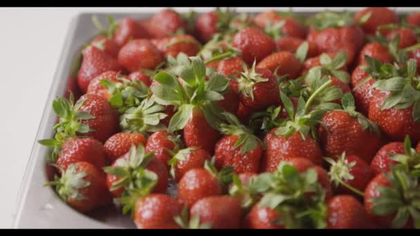 Pila Fresas Frescas Maduras Video — Vídeo de stock