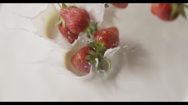 Verse Rijpe Aardbeien Met Melk Video — Stockvideo