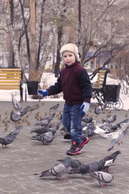 Küçük çocuk parkta güvercinlere kışın beslenir.