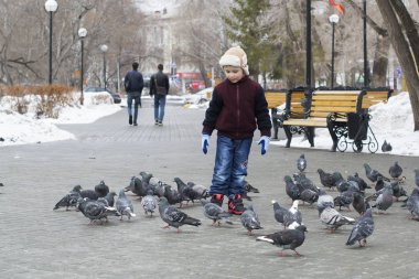 Kış aylarında parktaki güvercinler için küçük çocuk çalışır