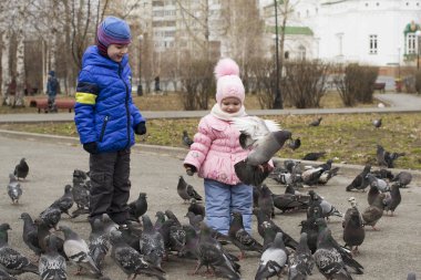 çocuklar parkta güvercin beslemek.