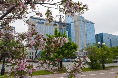 Tyumen, Rusya, 15 Mayıs 2020: Tyumen merkez caddesindeki modern ofis binaları. Binaya odaklanıyorum. Çiçek açan ağaçların dalları arasından bak.