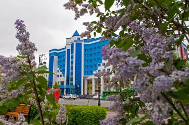 Tyumen, Rusya, 15 Mayıs 2020: Tyumen merkez caddesindeki modern ofis binaları. Çiçek açan ağaçların dalları arasından bak.