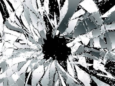 Kırık cam parçaları