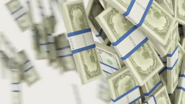 Feixes Dólares Americanos Fluindo Isolados Fundo Branco Render Animação — Vídeo de Stock