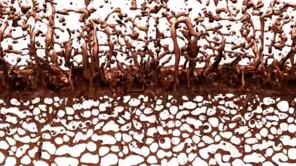 Flujo Chocolate Sobre Fondo Blanco — Vídeo de stock