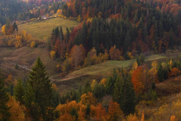 Podzimní listoví stromů v horách Louka s kupkou sena — Stock fotografie