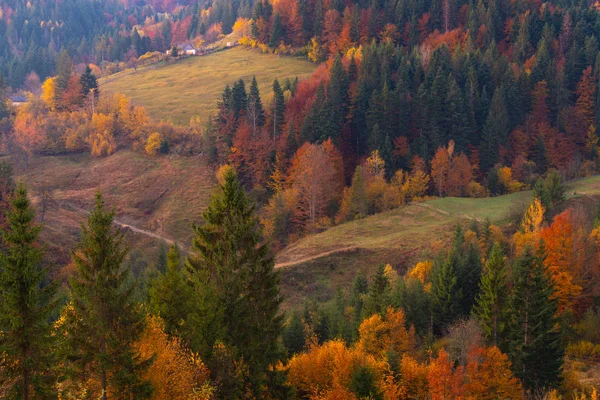 Laubbäume im Herbst auf der Bergwiese mit Heuhaufen — Stockfoto