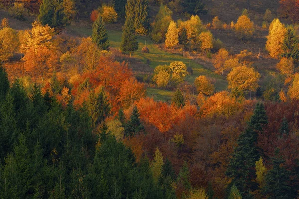 山の中の紅葉の木干し草の山の牧草地 — ストック写真