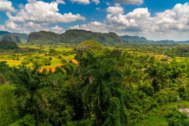 Küba'nın Pinar del Rio Vinales Vadisi sitesi