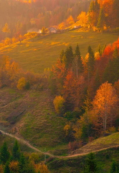 Осенние лиственные деревья в горах Луг с стогом сена — стоковое фото