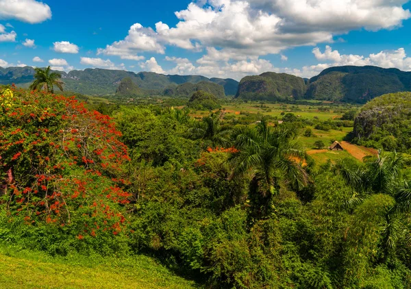 Vinales Valley site em Pinar del Rio de Cuba — Fotografia de Stock