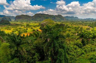 Küba'nın Pinar del Rio Vinales Vadisi sitesi
