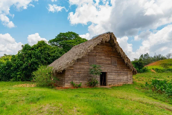 Tabaksschuur of schuur voor het drogen van tabaksbladeren in Cuba — Stockfoto