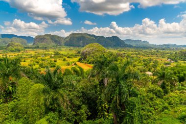 Küba'nın Pinar del Rio Vinales Vadisi sitesi