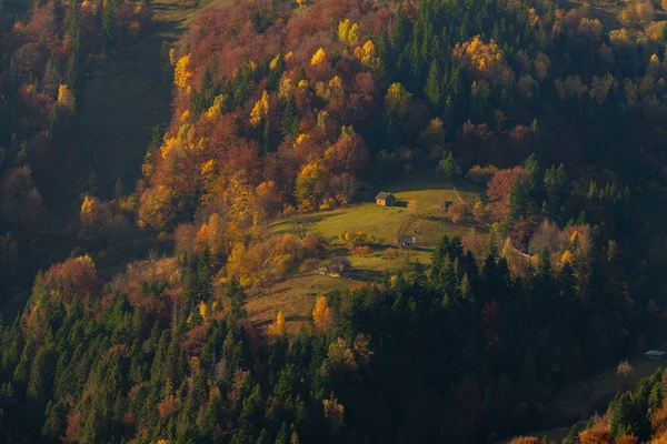 Деревенские дома и осенние лиственные деревья в горах — стоковое фото
