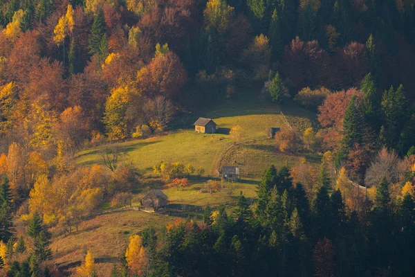 Деревенские дома и осенние лиственные деревья в горах — стоковое фото