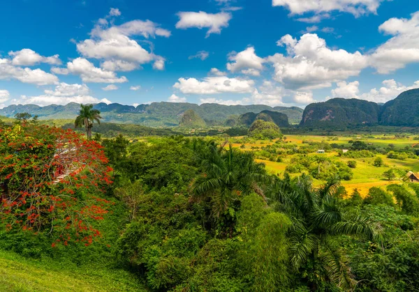 Vinales Valley site em Pinar del Rio de Cuba — Fotografia de Stock