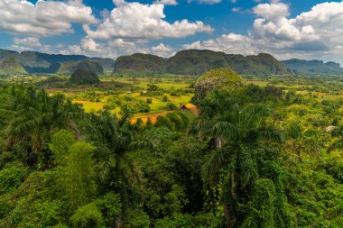 Küba'nın Pinar del Rio Vinales Vadisi sitesi