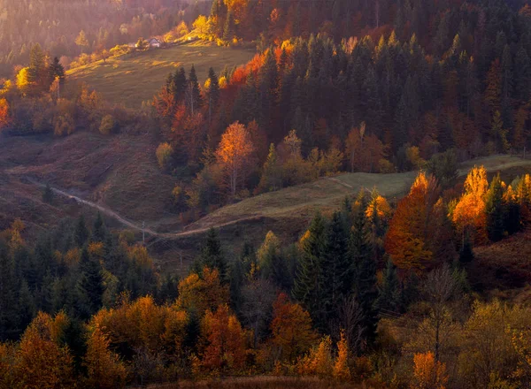 Podzimní listoví stromů v horách. Louka s kupkou sena a — Stock fotografie