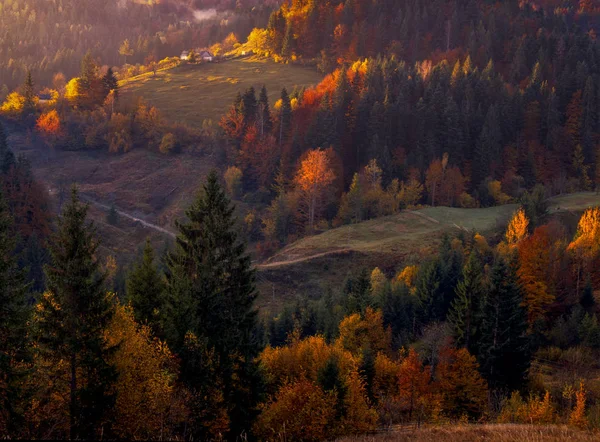 Herbstlaubbäume in den Bergen. Wiese mit Heuhaufen und — Stockfoto