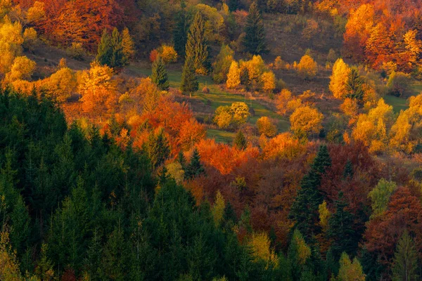 山の中の紅葉の木干し草の山の牧草地 — ストック写真