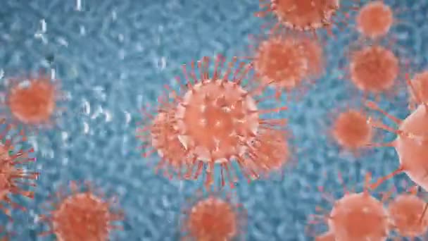 Коронавирус Novel Coronavirus 2019 Ncov Движущиеся Клетки Эпидемия Рендеринг Анимация — стоковое видео
