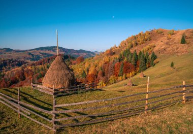 Dağlardaki sonbahar ormanı ağaçları dağlardaki panorama ağaçları samanlıklarla dolu çayır