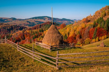 Dağlardaki sonbahar ormanı ağaçları dağlardaki panorama ağaçları samanlıklarla dolu çayır