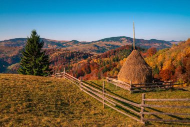 Dağlardaki sonbahar ormanı ağaçları dağlardaki panorama ağaçları samanlıklarla dolu çayır