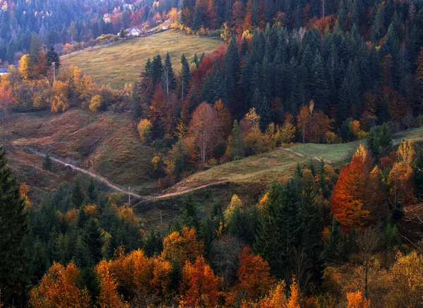 Dorfhäuser Und Herbstlaubbäume Den Bergen Wiese Und Wald Den Karpaten — Stockfoto