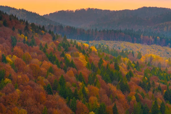 Podzimní Lesní Stromy Horách Panorama Stromů Karpat — Stock fotografie