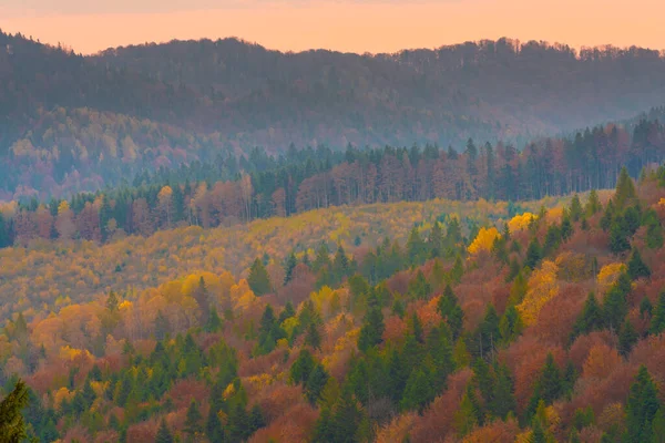 Herbstliche Waldbäume Den Bergen Panoramabäume Den Karpaten — Stockfoto