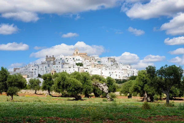 Апулия белый город Ostuni с оливковыми деревьями — стоковое фото